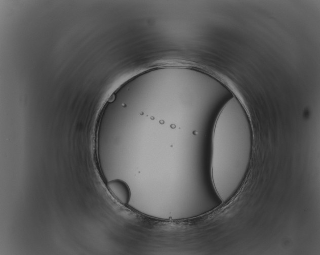 X0000091721195200708241012