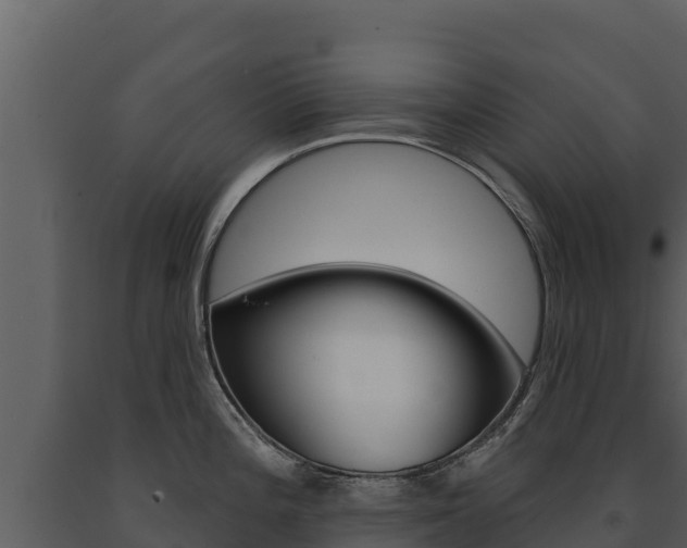 X0000091721196200708241012