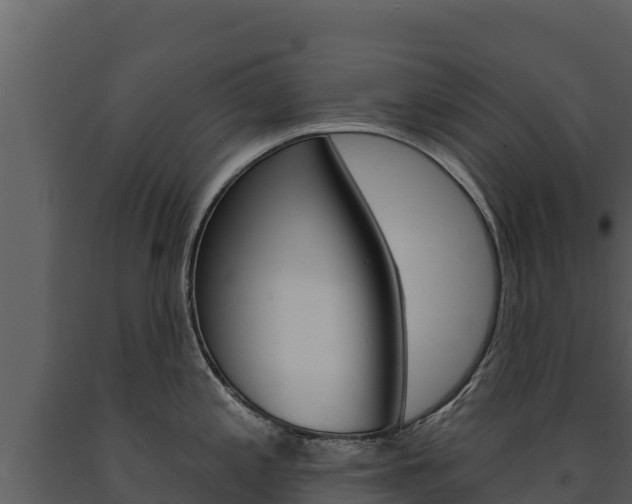 X0000091721197200708241012