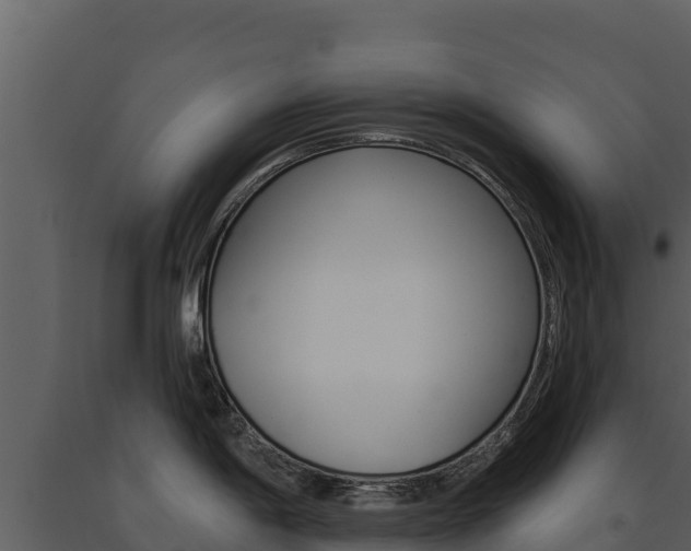 X0000091721198200708241012