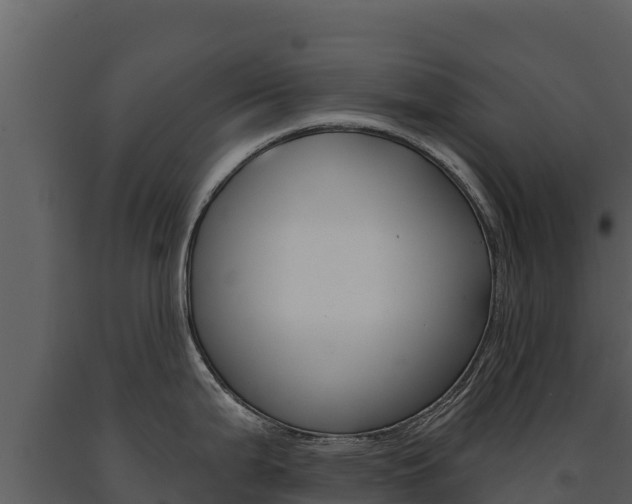 X0000091721199200708241012