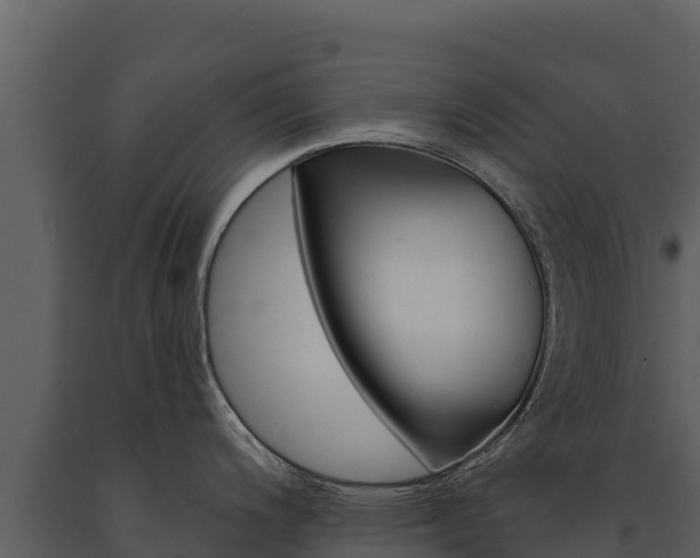 X0000091721200200708241012