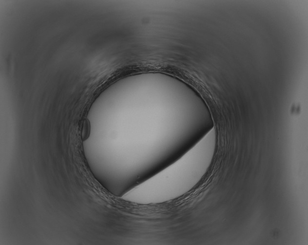 X0000091721201200708241011