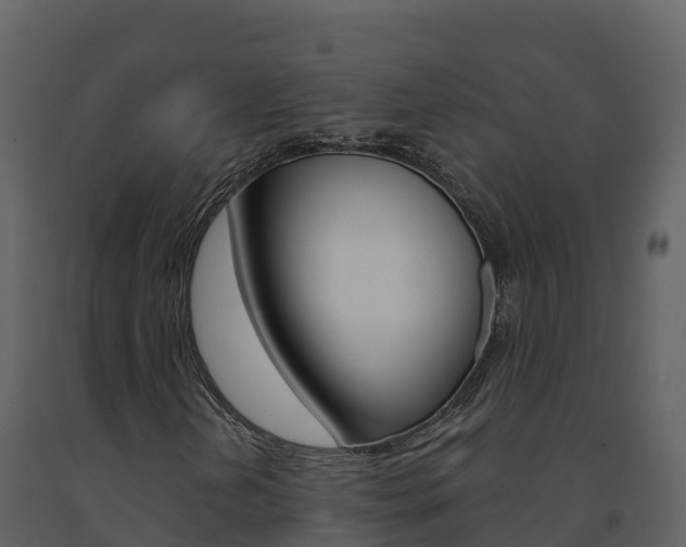 X0000091721202200708241011