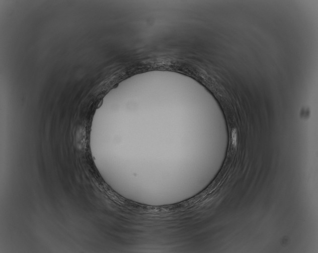 X0000091721203200708241011