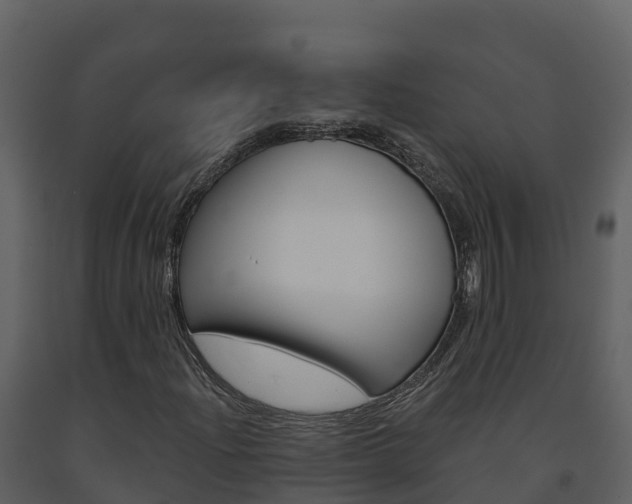 X0000091721204200708241011
