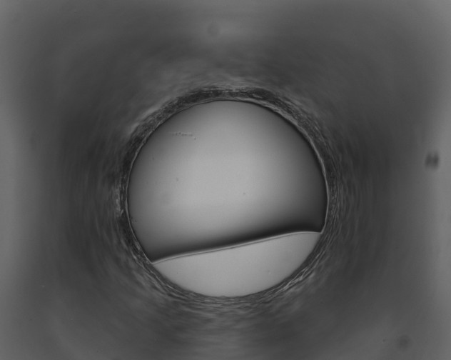 X0000091721205200708241011