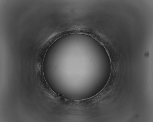 X0000091721206200708241011