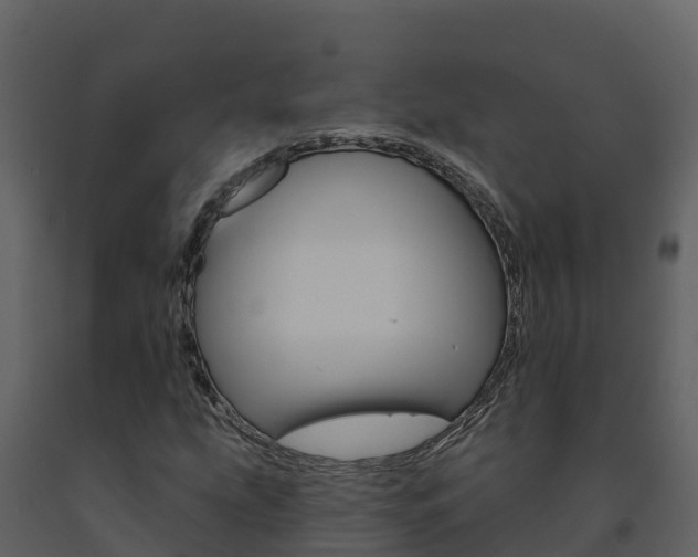 X0000091721207200708241011
