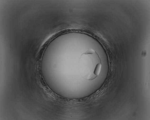X0000091721208200708241011
