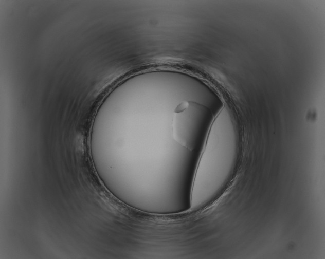 X0000091721209200708241011