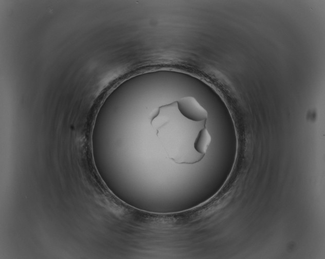 X0000091721210200708241011