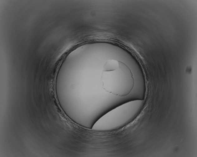 X0000091721211200708241011