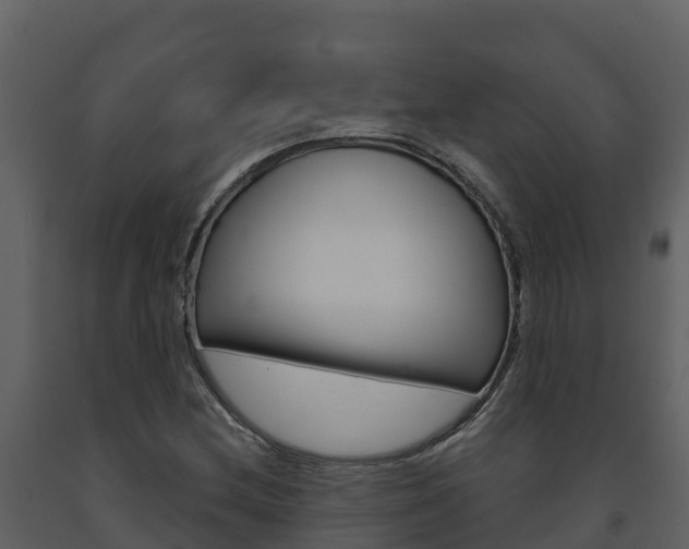 X0000091721212200708241011