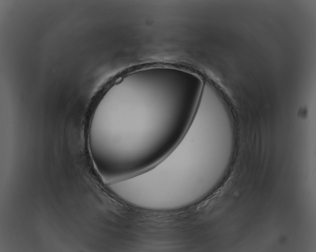 X0000091721214200708241011