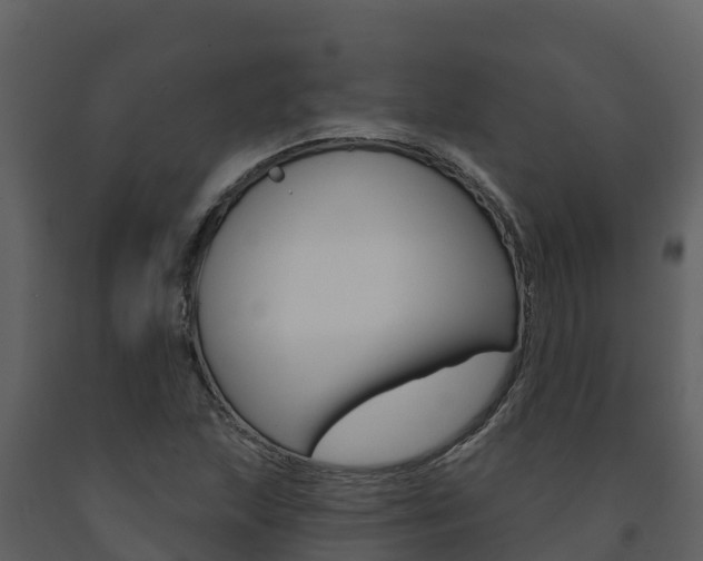 X0000091721215200708241011