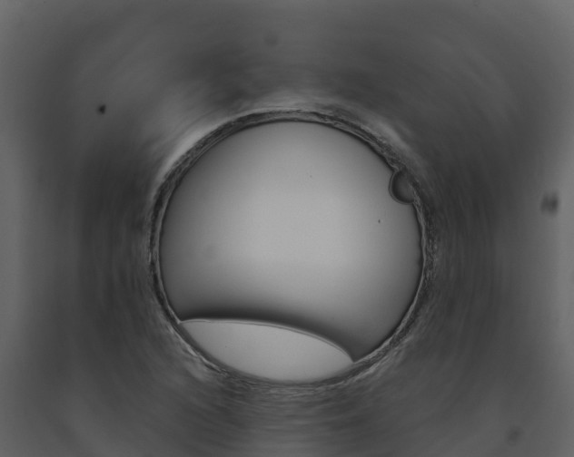 X0000091721216200708241011