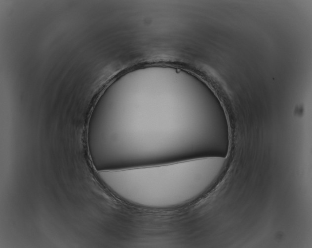 X0000091721217200708241012