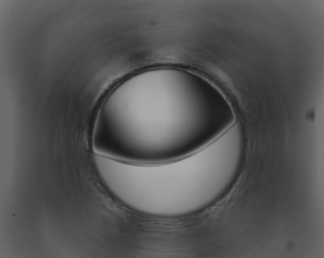 X0000091721218200708241012