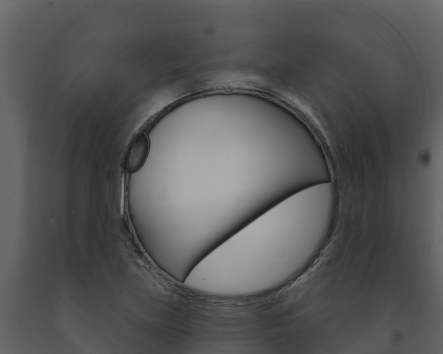 X0000091721219200708241012