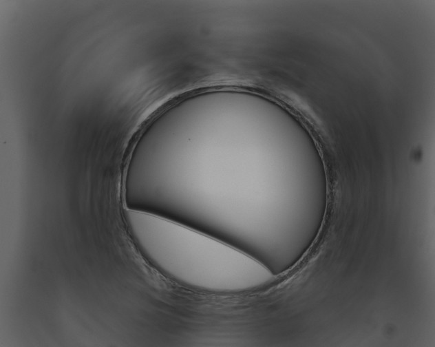 X0000091721220200708241012