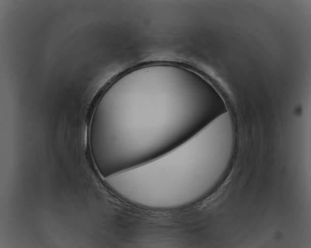 X0000091721221200708241012