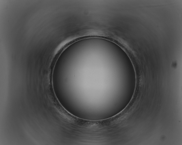 X0000091721222200708241012