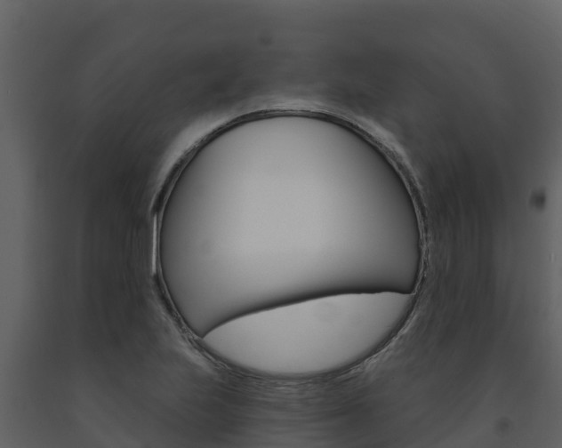 X0000091721223200708241012