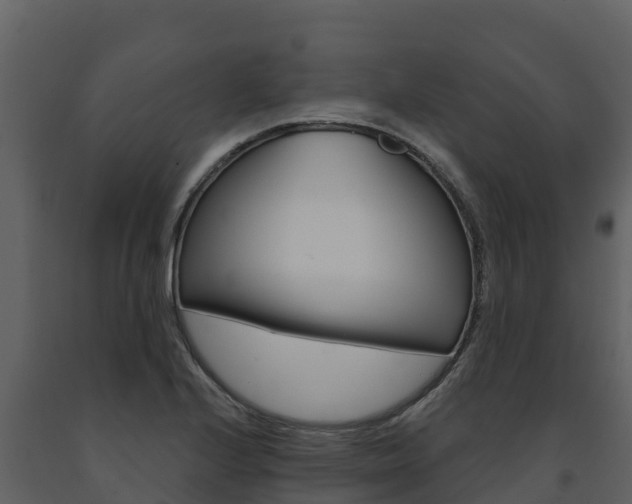 X0000091721224200708241012