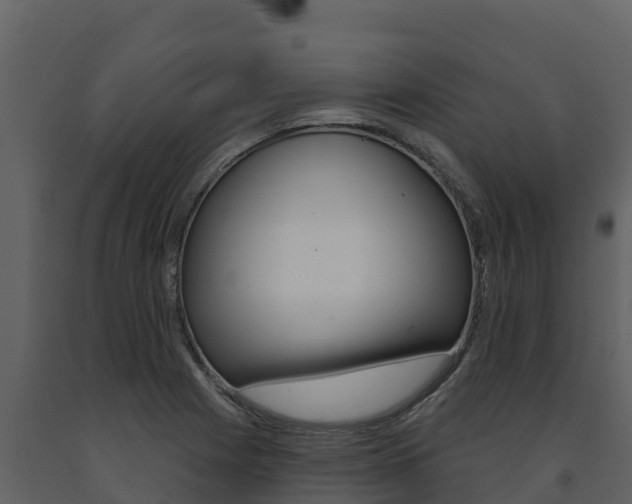 X0000091721225200708241012
