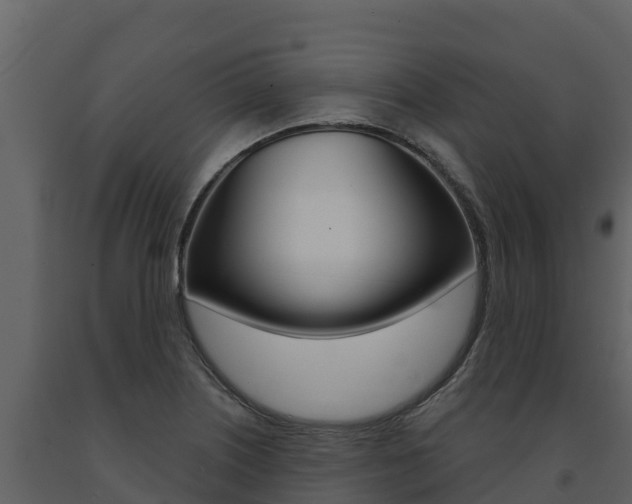 X0000091721226200708241012