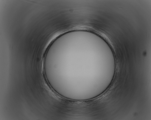 X0000091721227200708241012