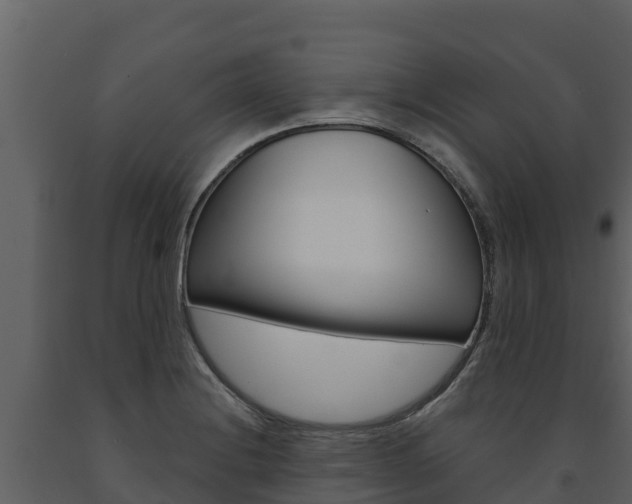 X0000091721228200708241012