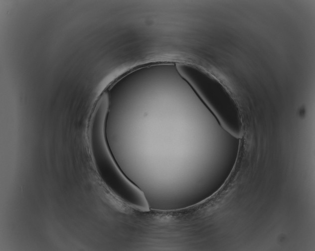 X0000091721230200708241012