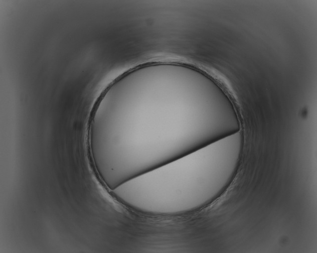 X0000091721231200708241012