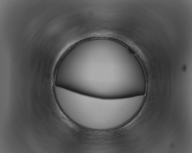 X0000091721232200708241012