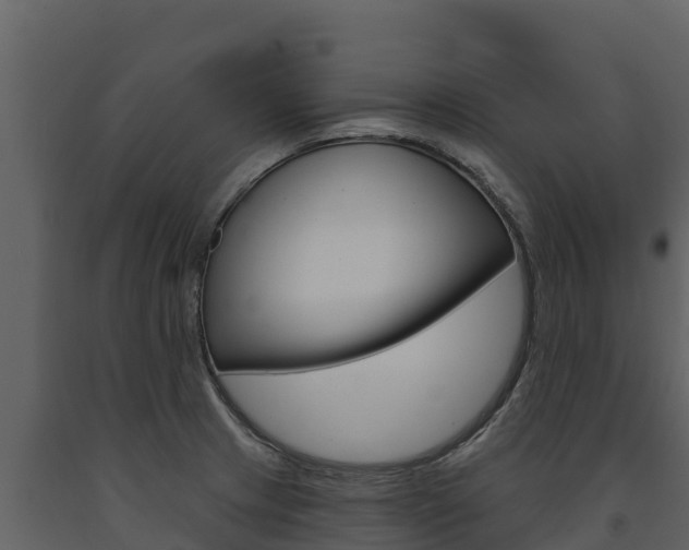 X0000091721233200708241012