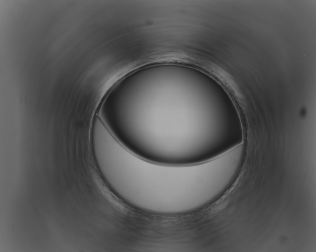 X0000091721234200708241012