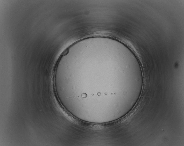 X0000091721235200708241012