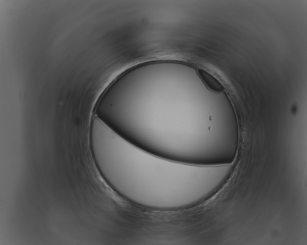 X0000091721236200708241012