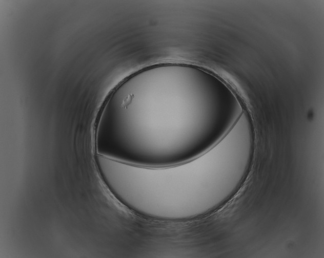 X0000091721238200708241012