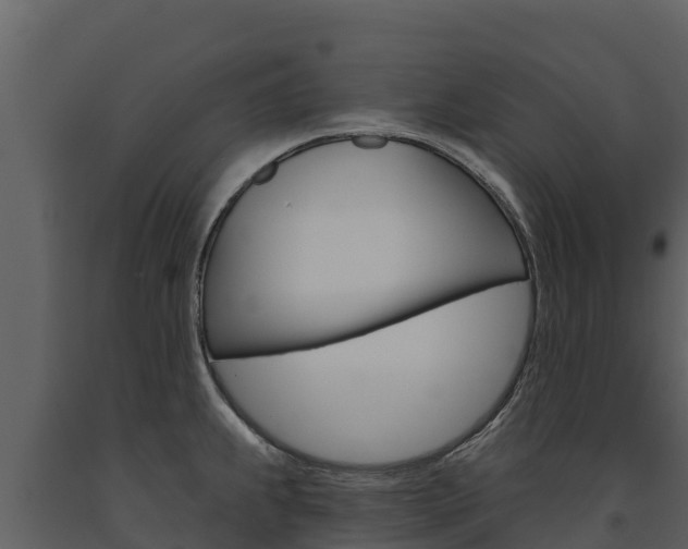 X0000091721239200708241012