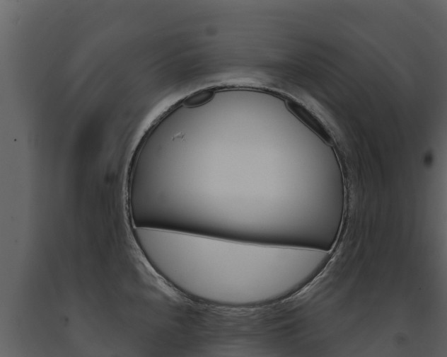 X0000091721240200708241012