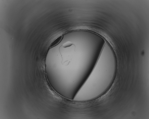 X0000091721241200708241012