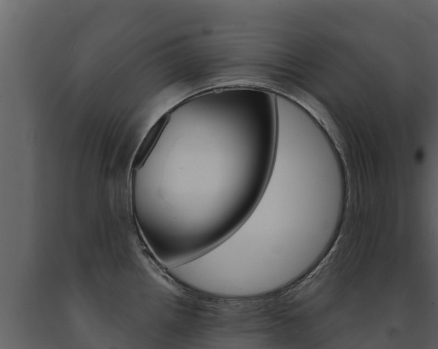 X0000091721242200708241012