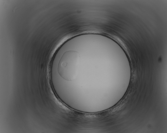 X0000091721243200708241012