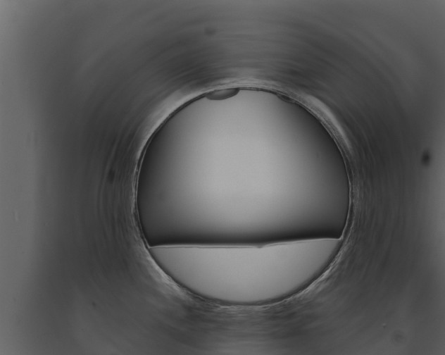 X0000091721244200708241012