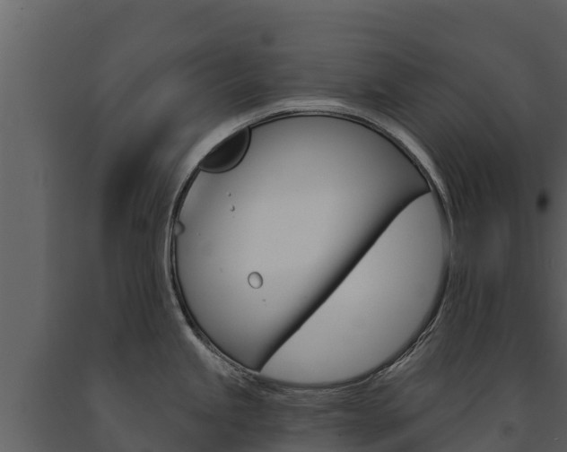 X0000091721245200708241012
