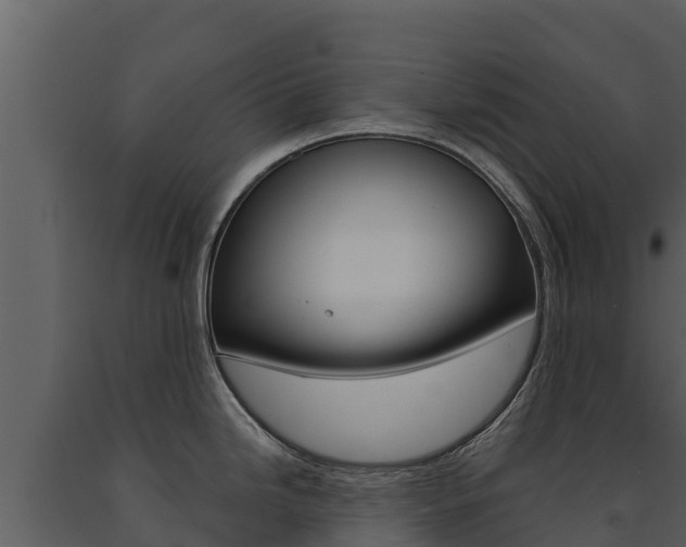 X0000091721246200708241012