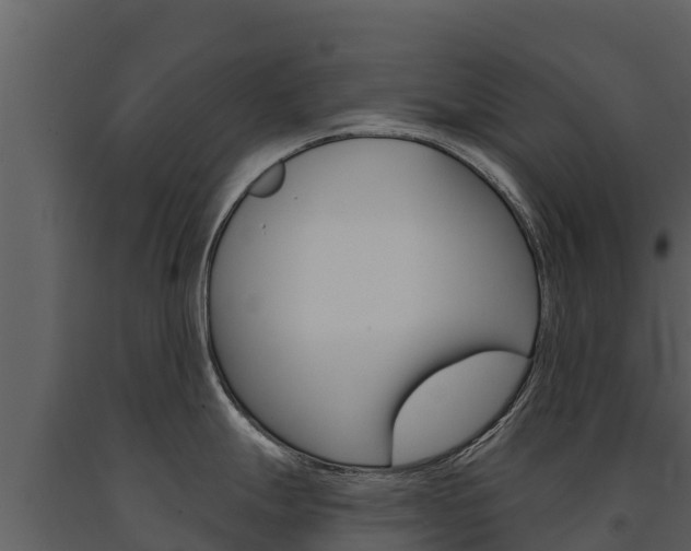 X0000091721247200708241012
